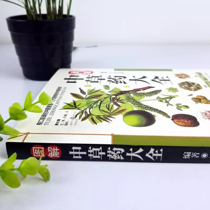 Starożytny Herbarium: Holistyc – Herbal Holistic Wellness recenzja i cena