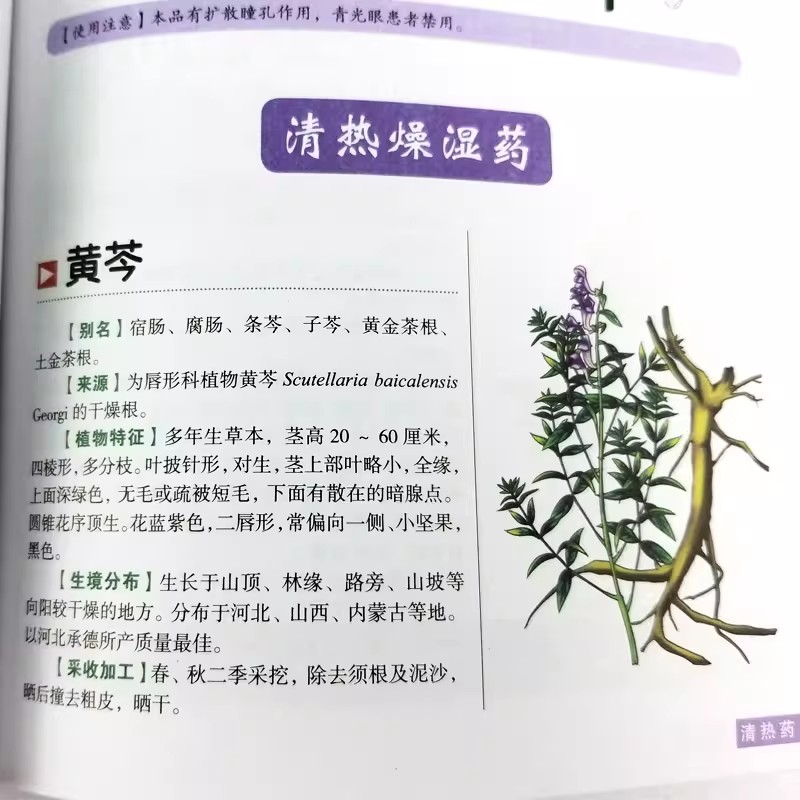 Starożytny Herbarium: Holistyc – Herbal Holistic Wellness recenzja i cena