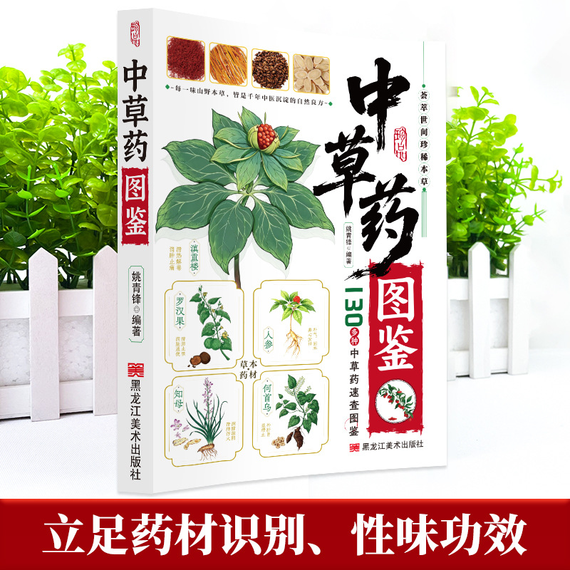 Ilustrowany przewodnik: Chińsk – Herbal Holistic Wellness recenzja i cena